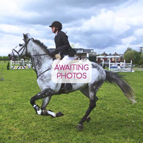 GoHorseRiding GoHorseRiding at Trundle Lane Riding School