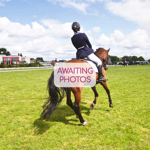 GoHorseRiding GoHorseRiding at Trundle Lane Riding School