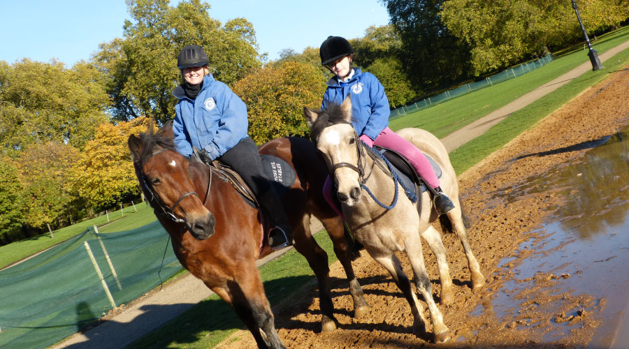 GoHorseRiding Getting more people horse riding
