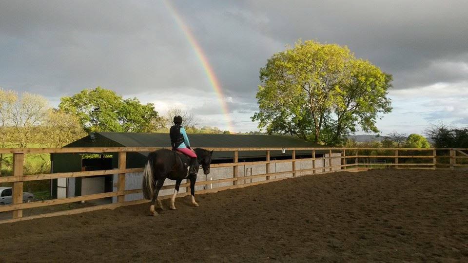 GoHorseRiding Getting more people horse riding across the UK & Ireland